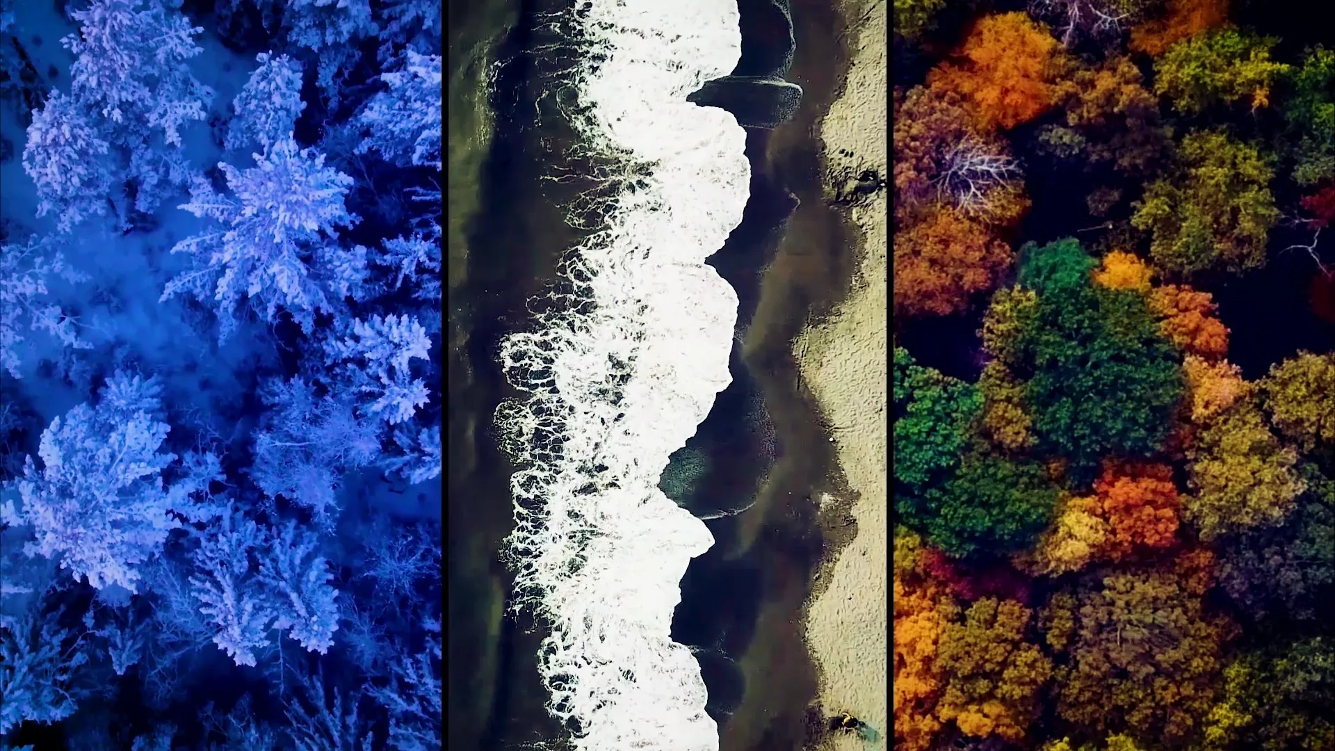 Aerial views of a snowy forest, a coastline and an autumn forest